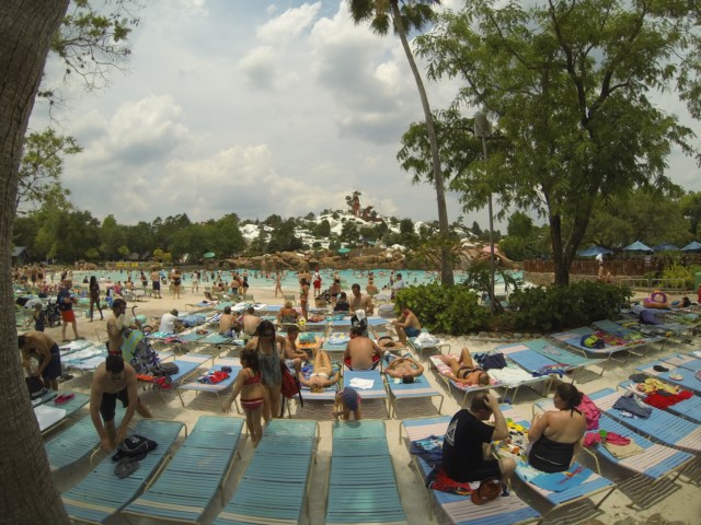 Picture
