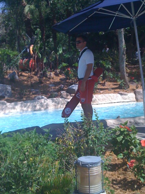 Picture
