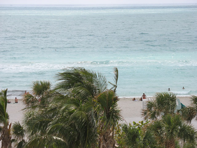 Picture