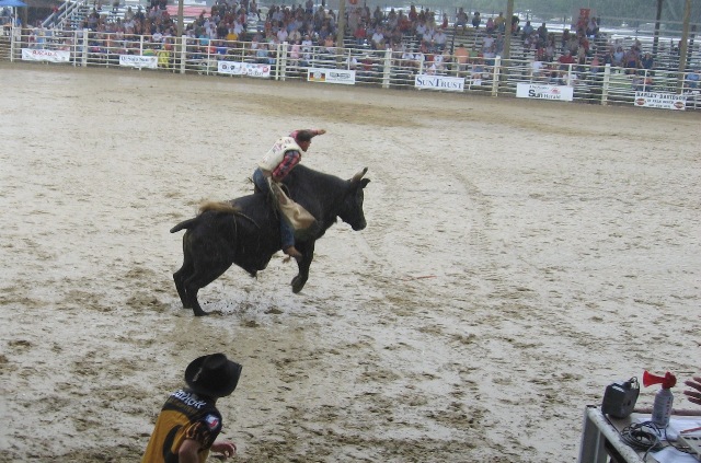 Picture
