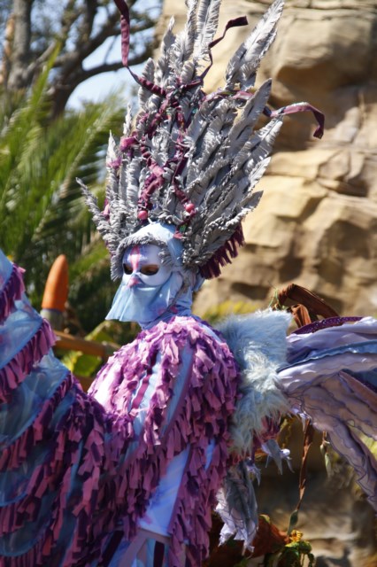 A Day At Busch Gardens