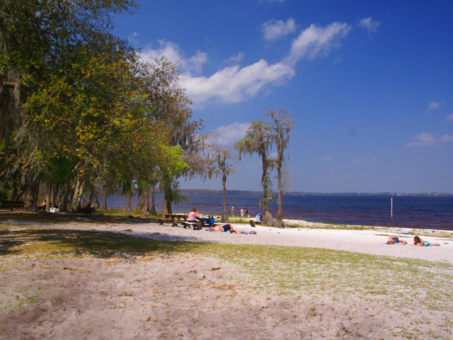 Picture